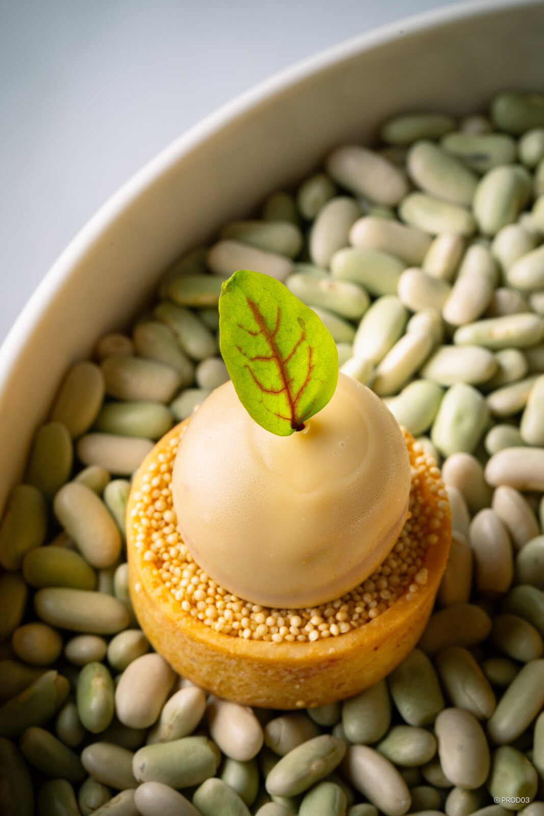 Studio culinaire, photo 17