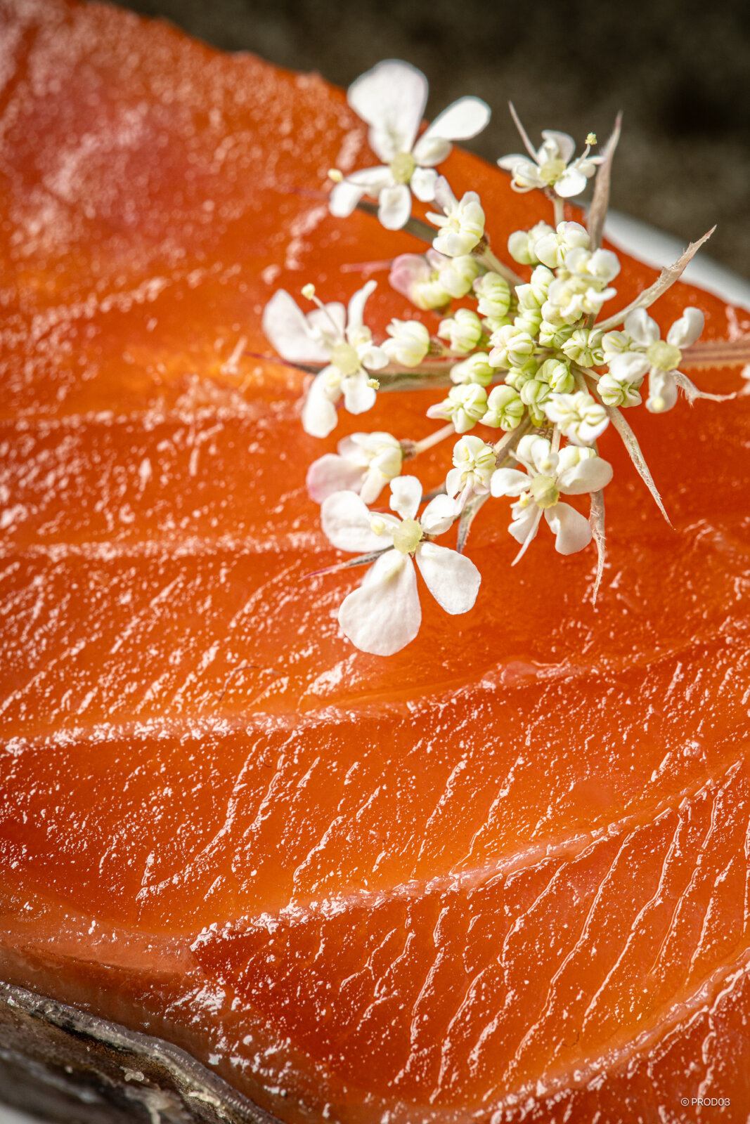 Studio culinaire, photo 3