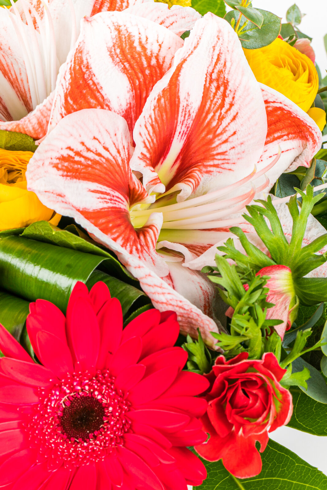 Aux Floralies, photo 10