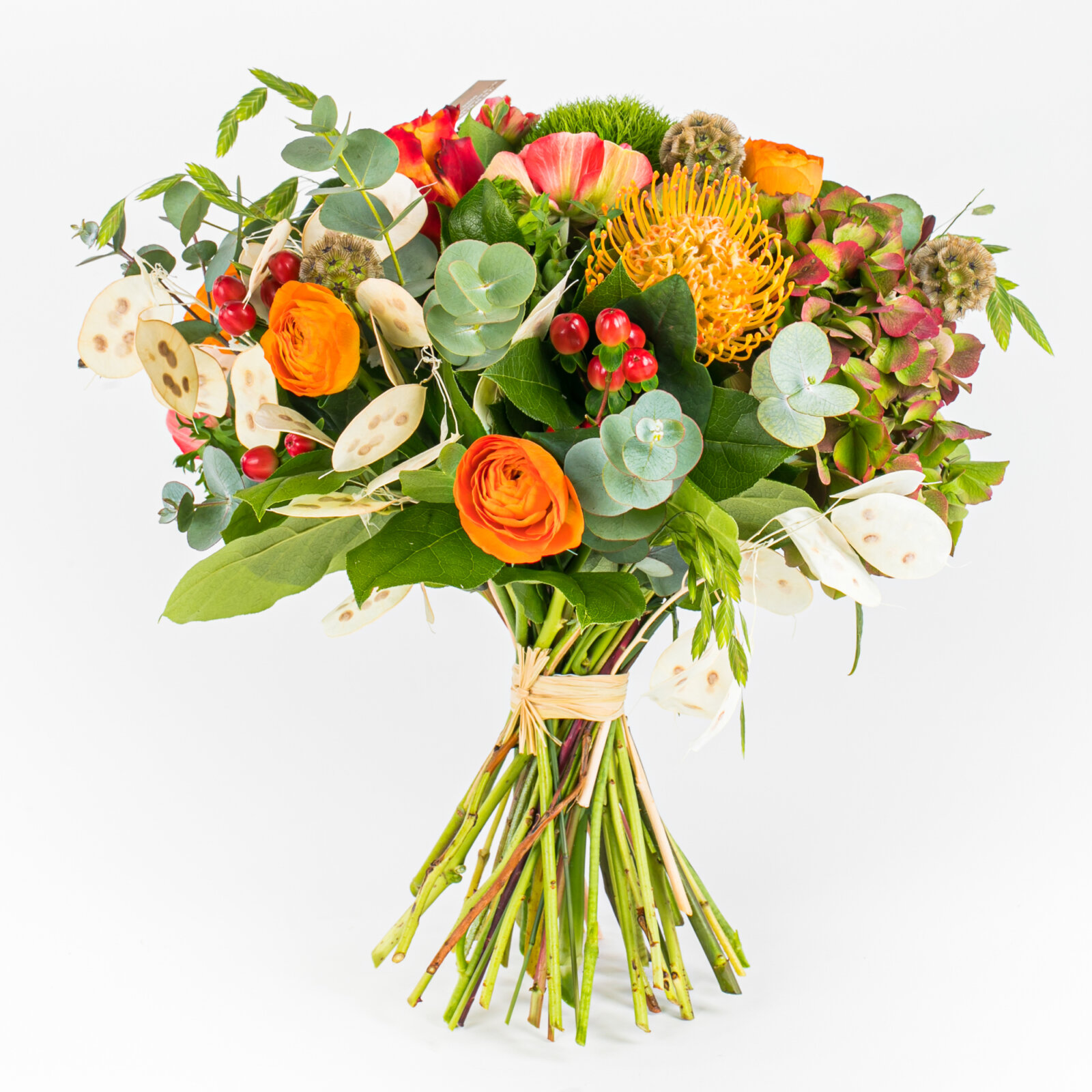 Aux Floralies, photo 14