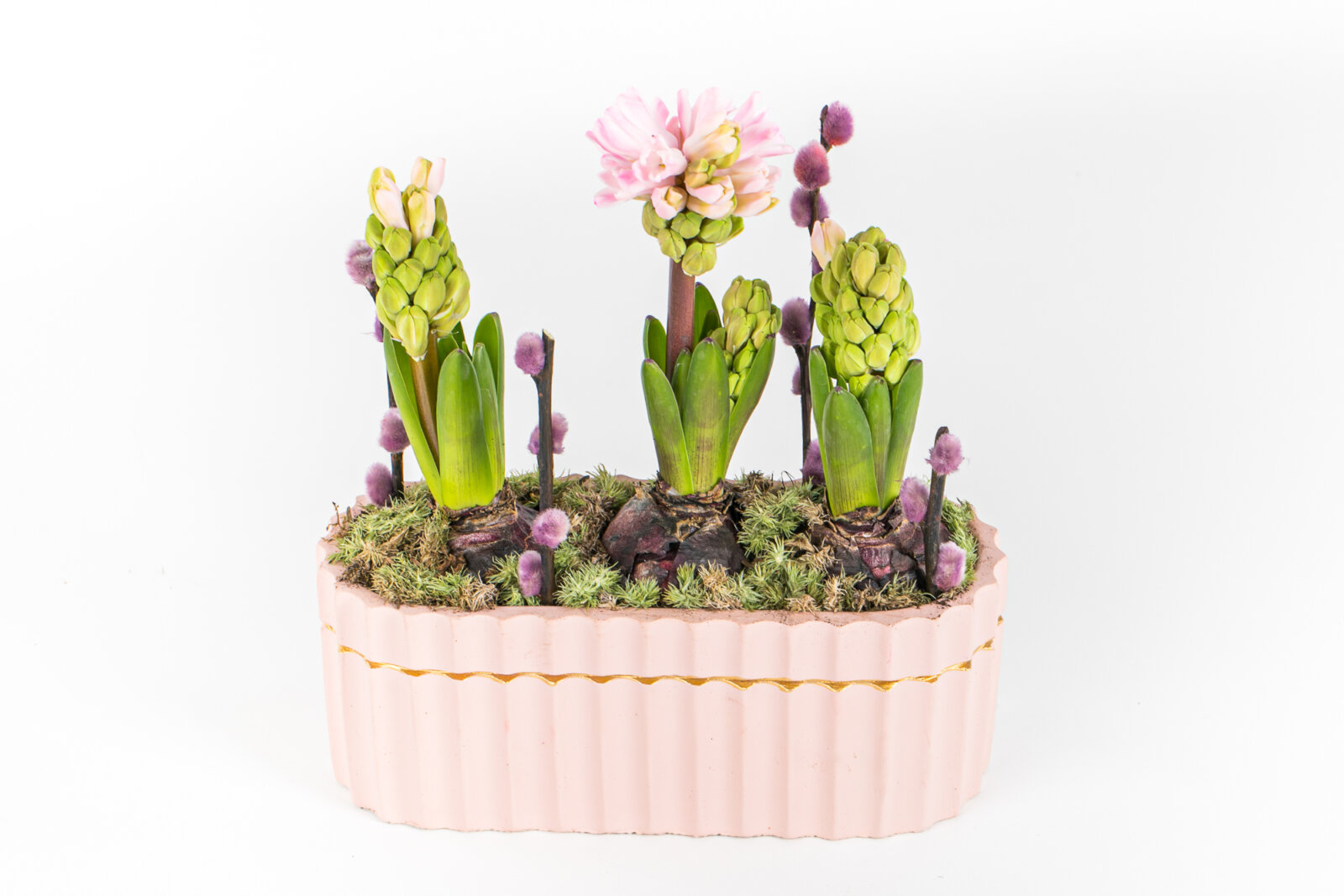 Aux Floralies, photo 17