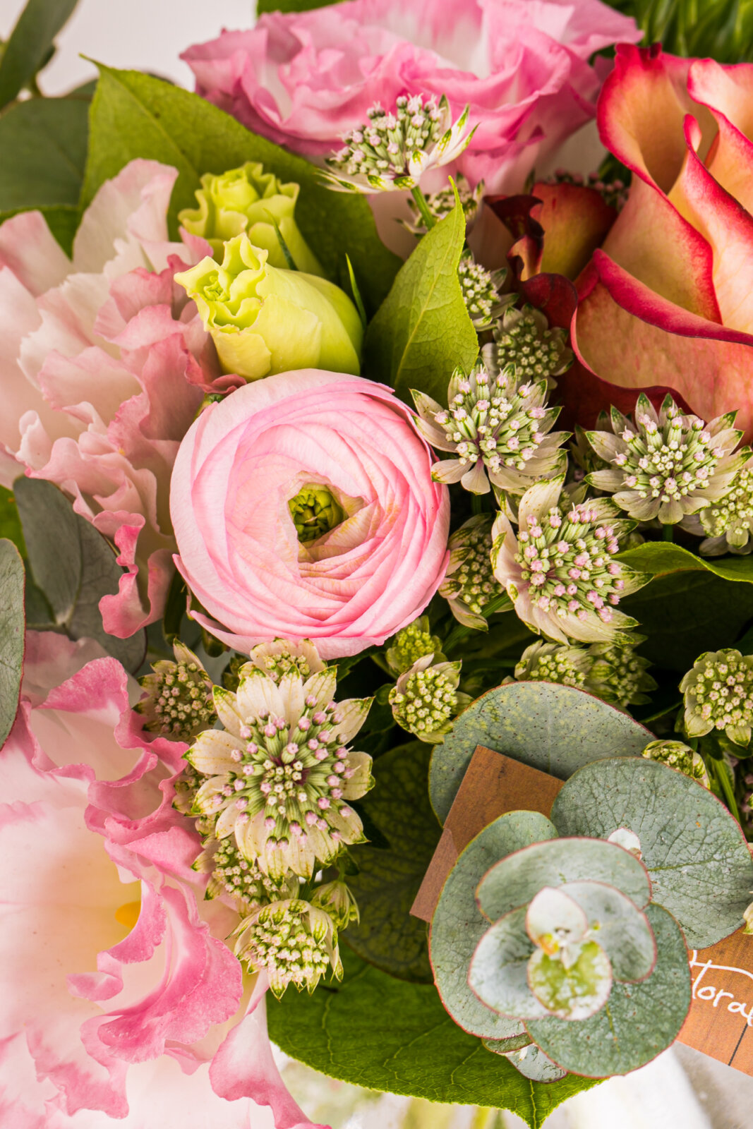 Aux Floralies, photo 2