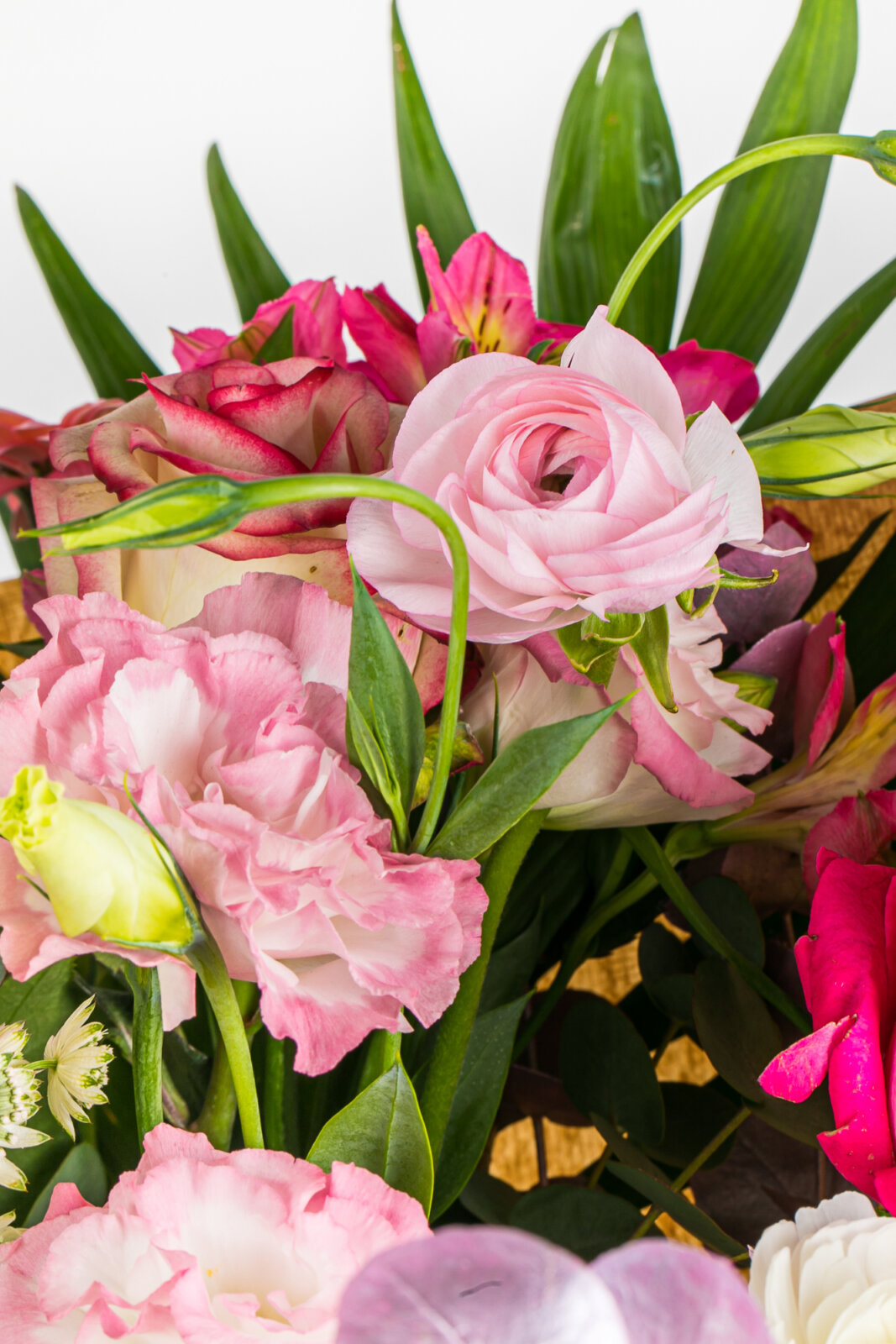 Aux Floralies, photo 19