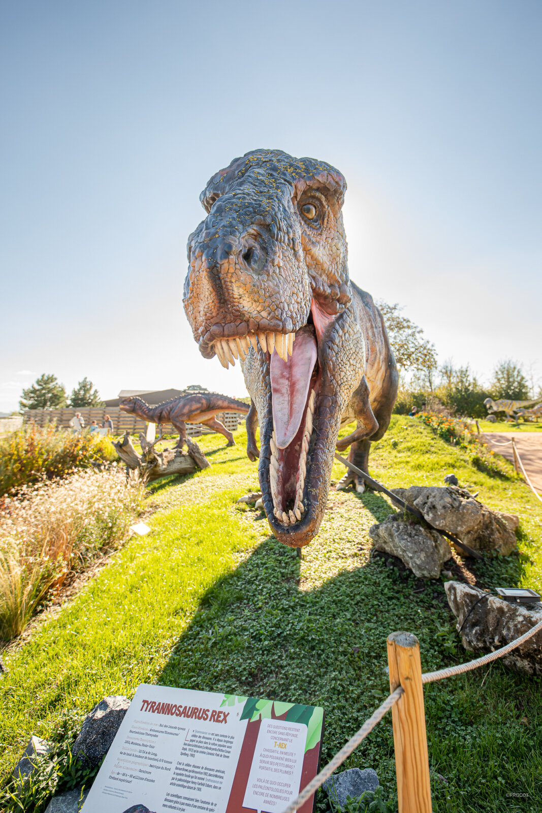 Parc attraction