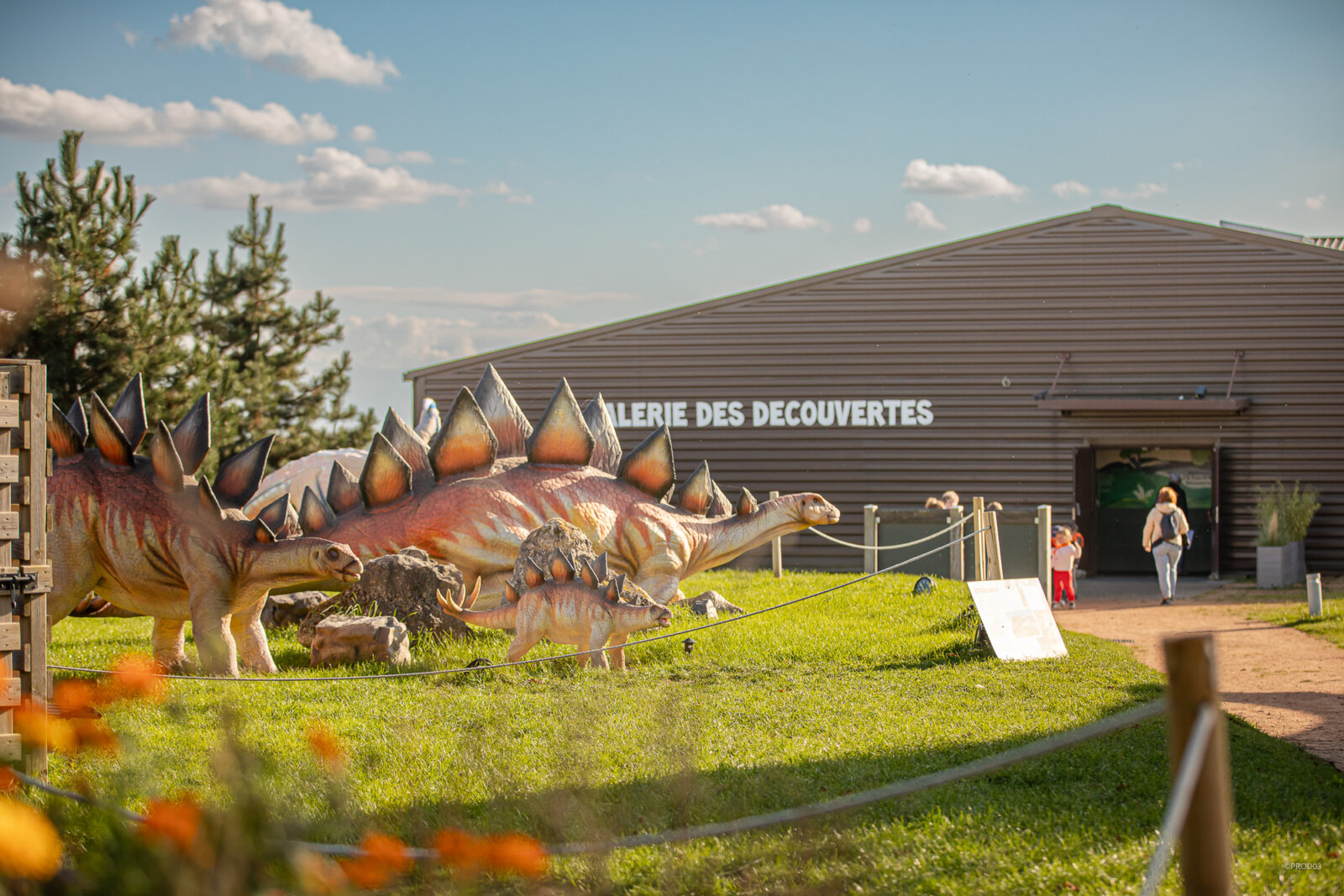 Parc attraction, photo 17