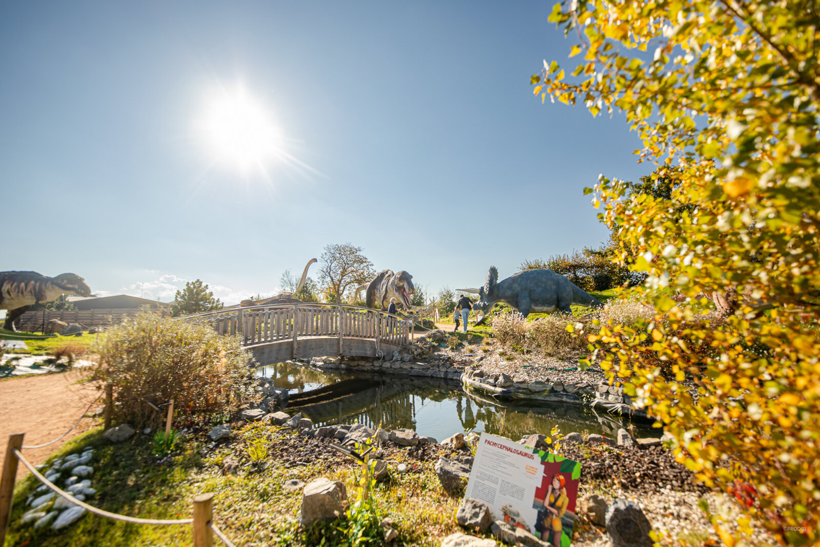 Parc attraction, photo 3