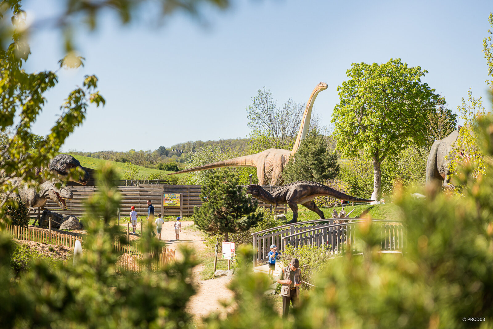 Parc attraction, photo 22