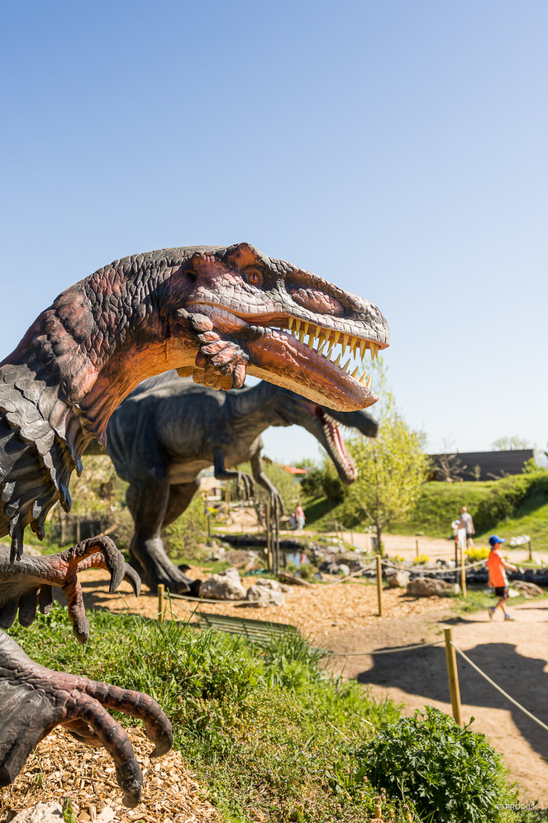 Parc attraction, photo 24