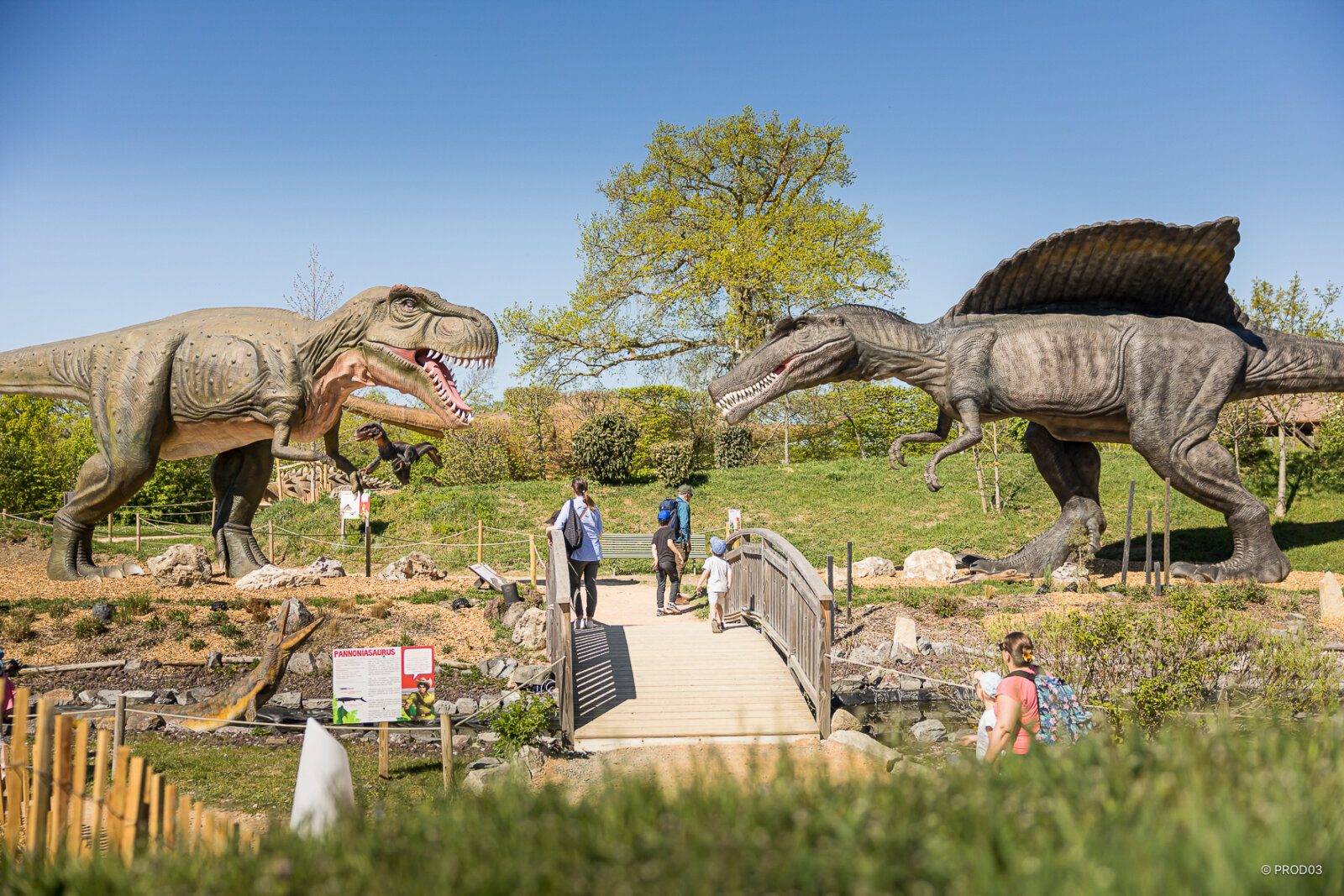 Parc attraction, photo 28