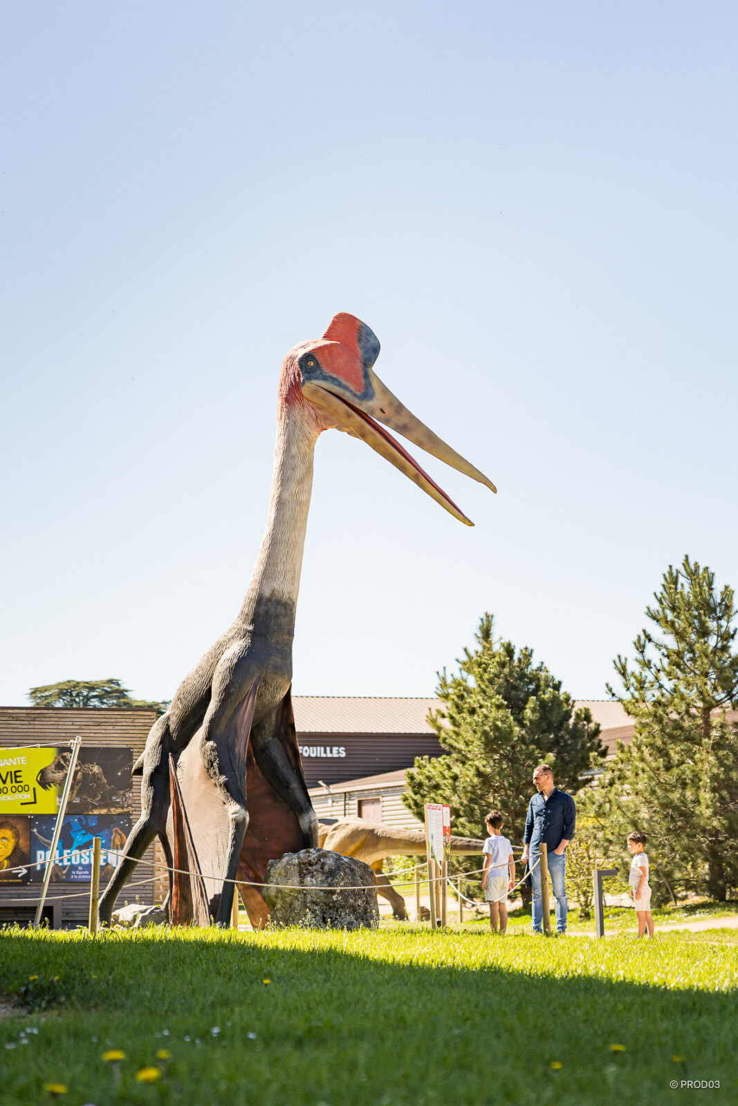 Parc attraction, photo 29