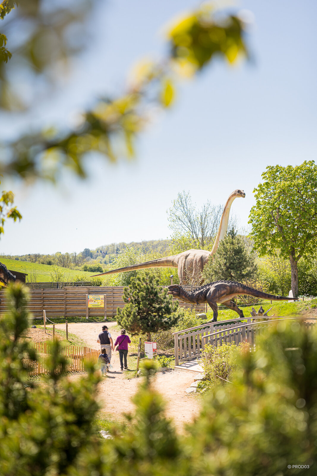 Parc attraction, photo 30