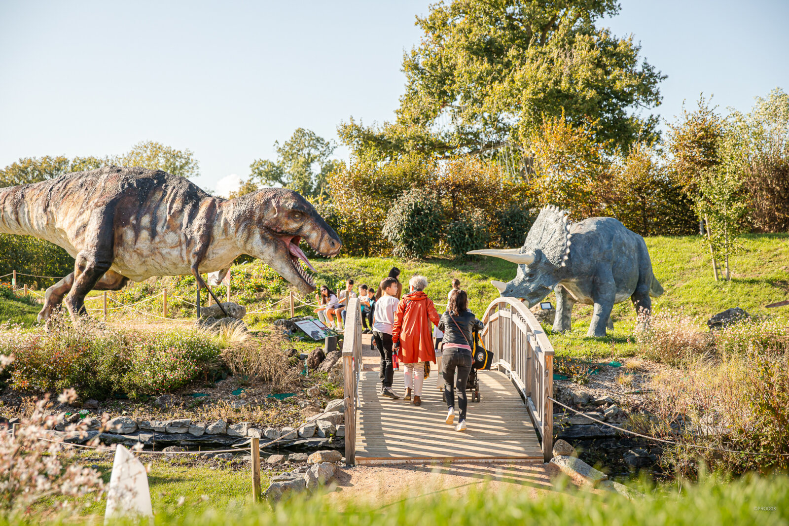 Parc attraction, photo 7