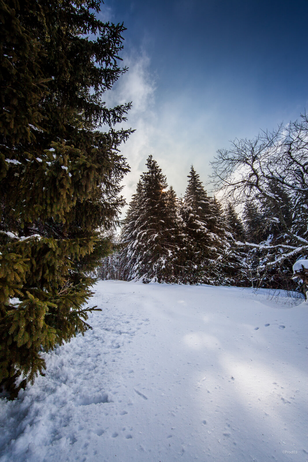 Ambert Livradois Forez, photo 1