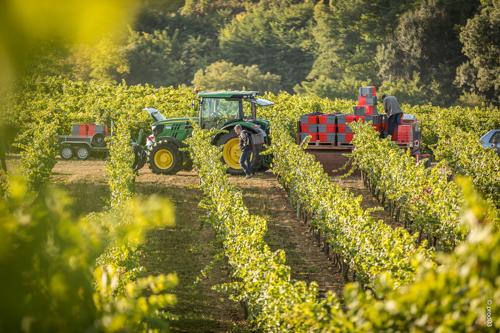 Domaine des Bérioles, photo 4
