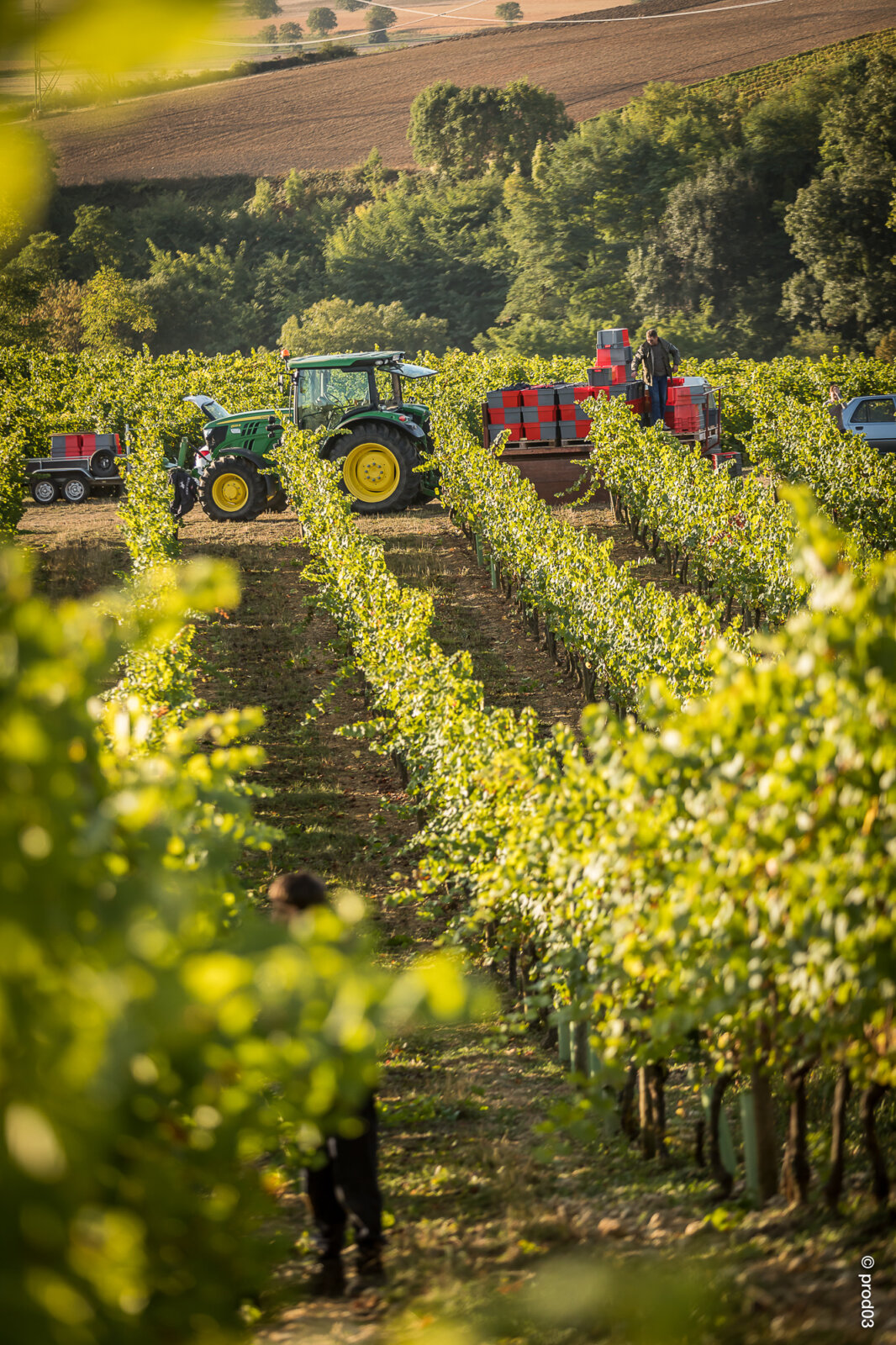 Domaine des Bérioles, photo 5