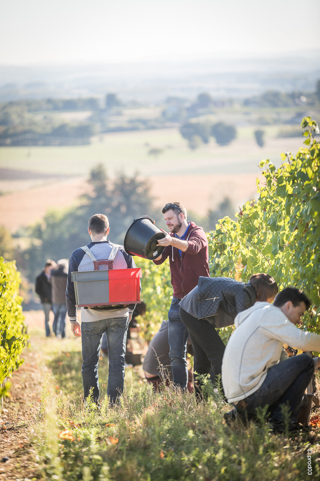 Domaine des Bérioles, photo 14