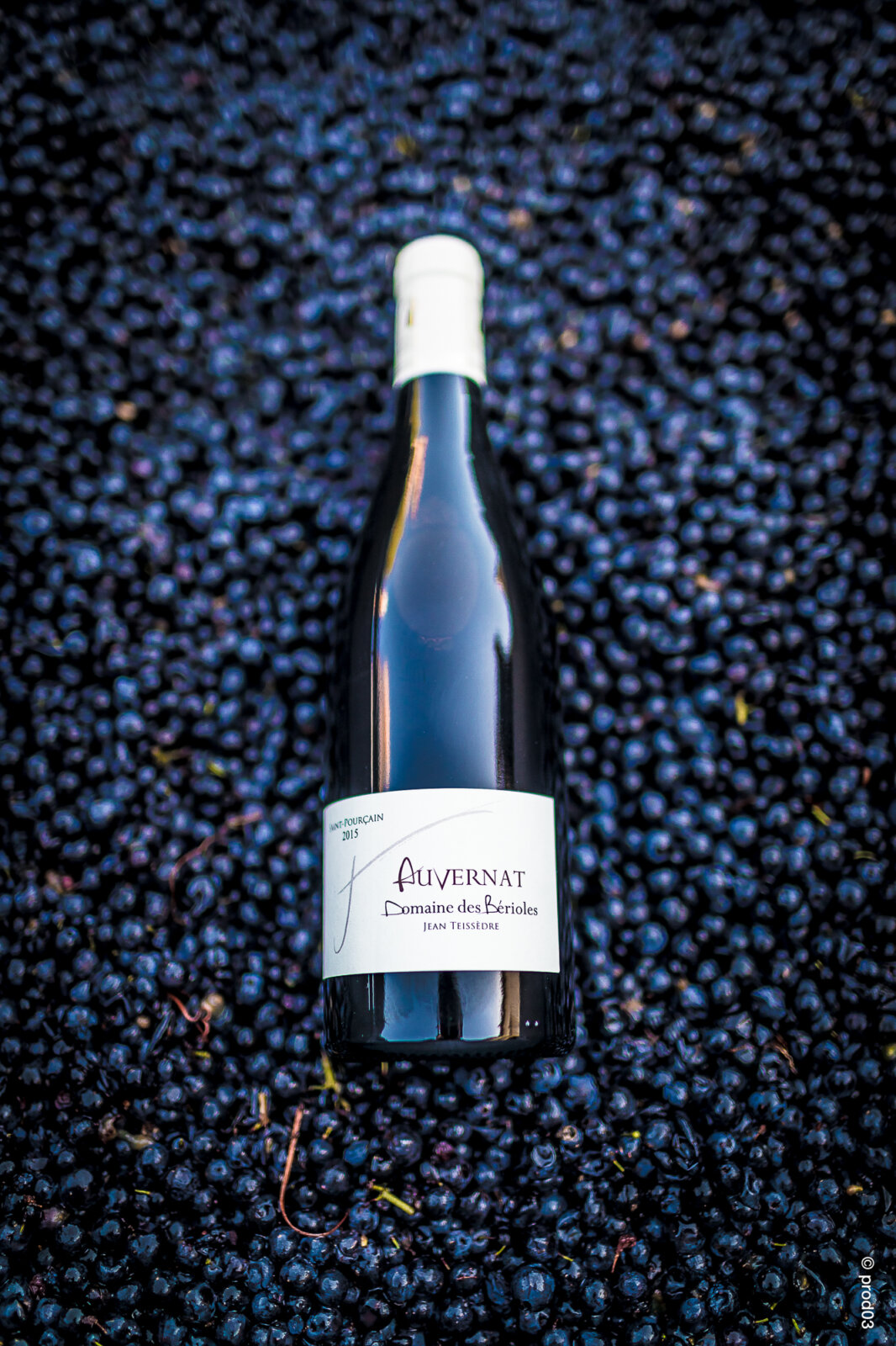 Domaine des Bérioles