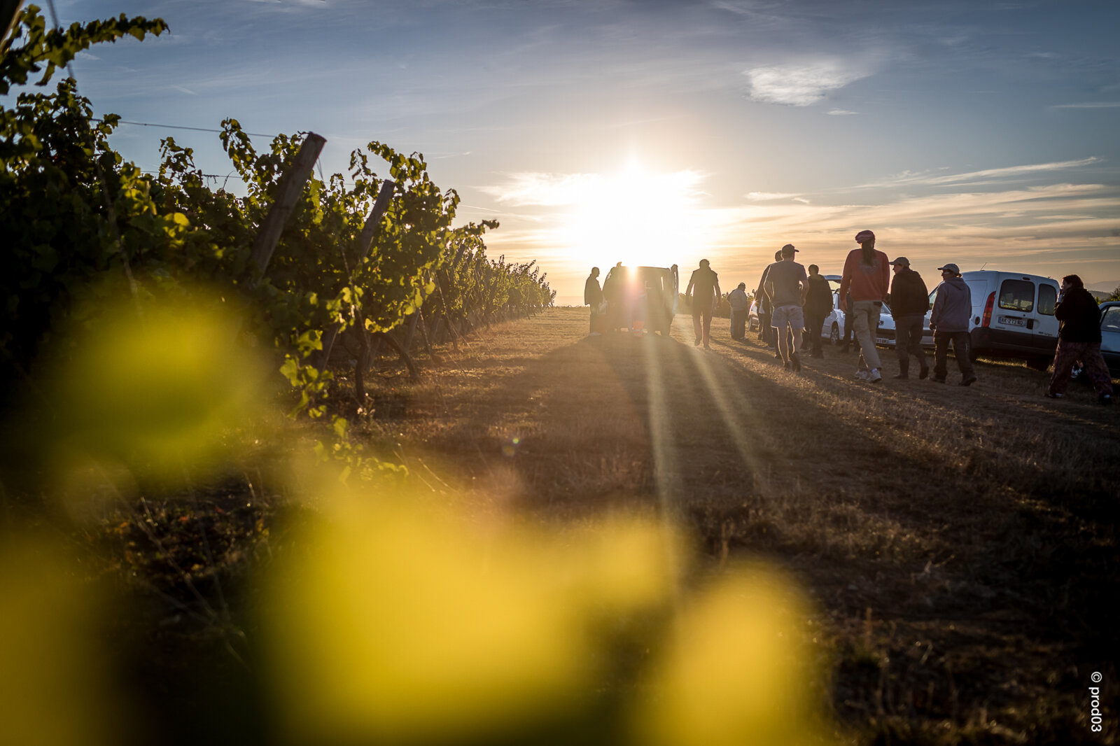 Domaine des Bérioles, photo 28